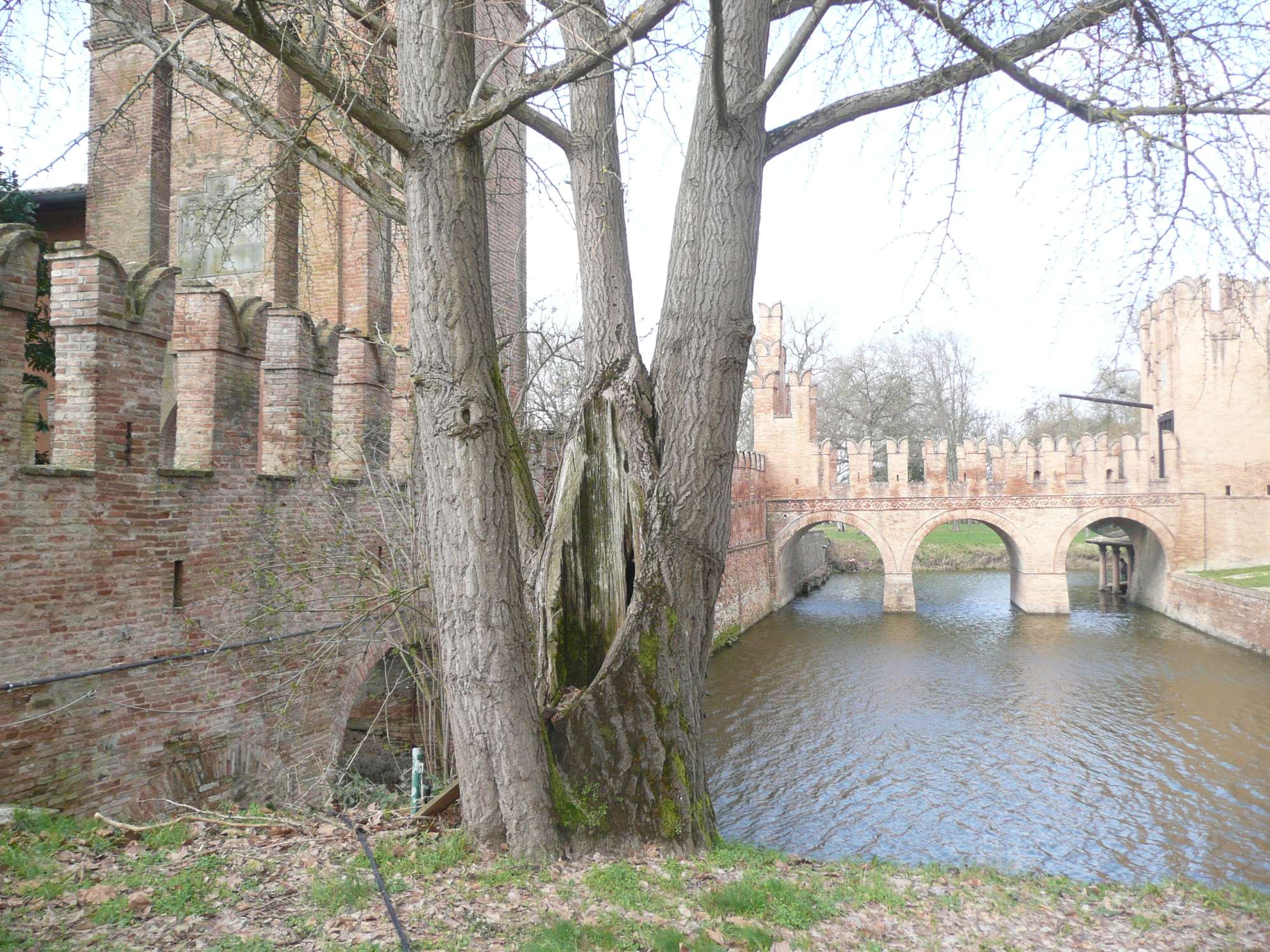 VB S. Martino Soverzano 5 BO